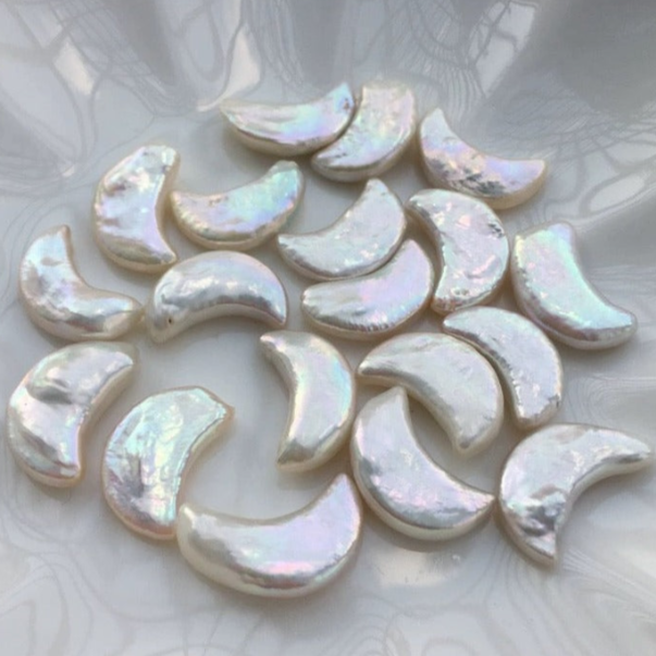 【Live】Live new arrival -Moon oyster opening