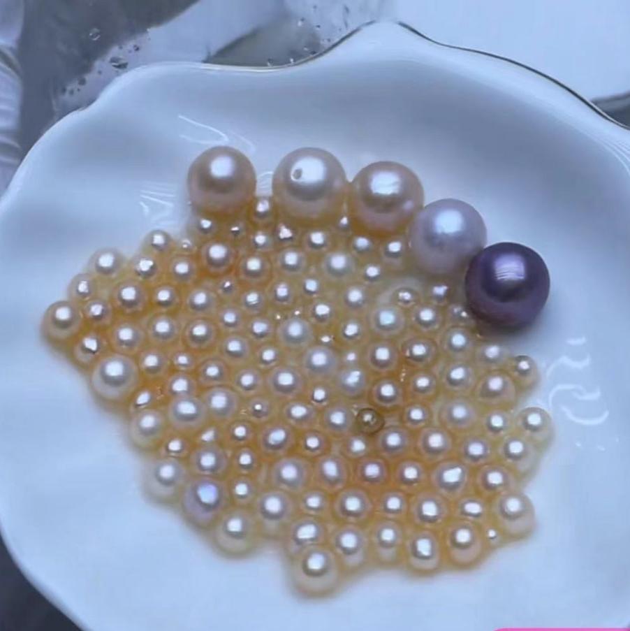 【Live Promotion】Supreme akoya oyster opening