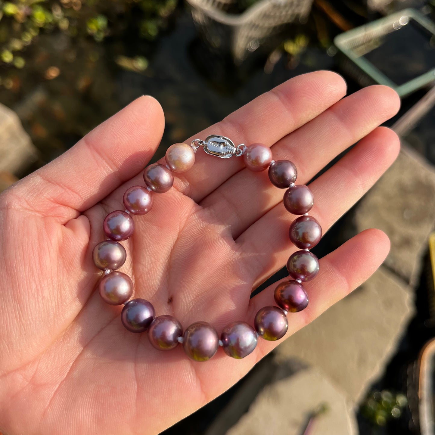 (B036) Full pearl Edison bracelet/purple bracelet--S925