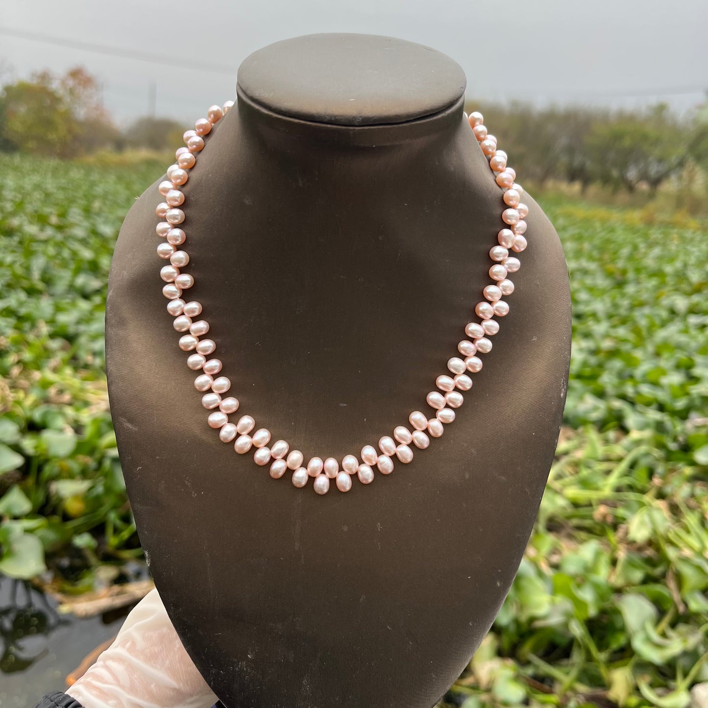 (N070)pearl ear of wheat Necklace