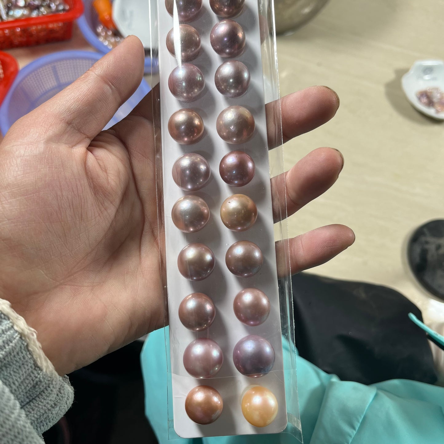 Huge Edison(16-17cm)