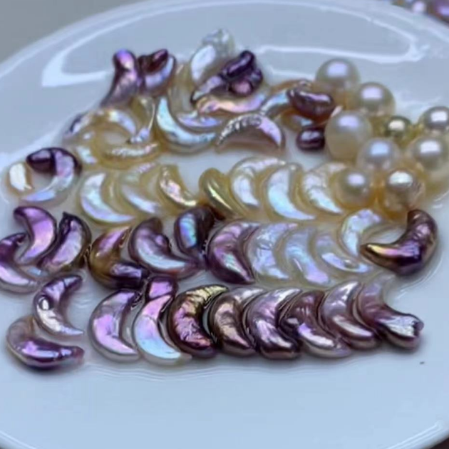 Live pearl oysters for 2025 sale