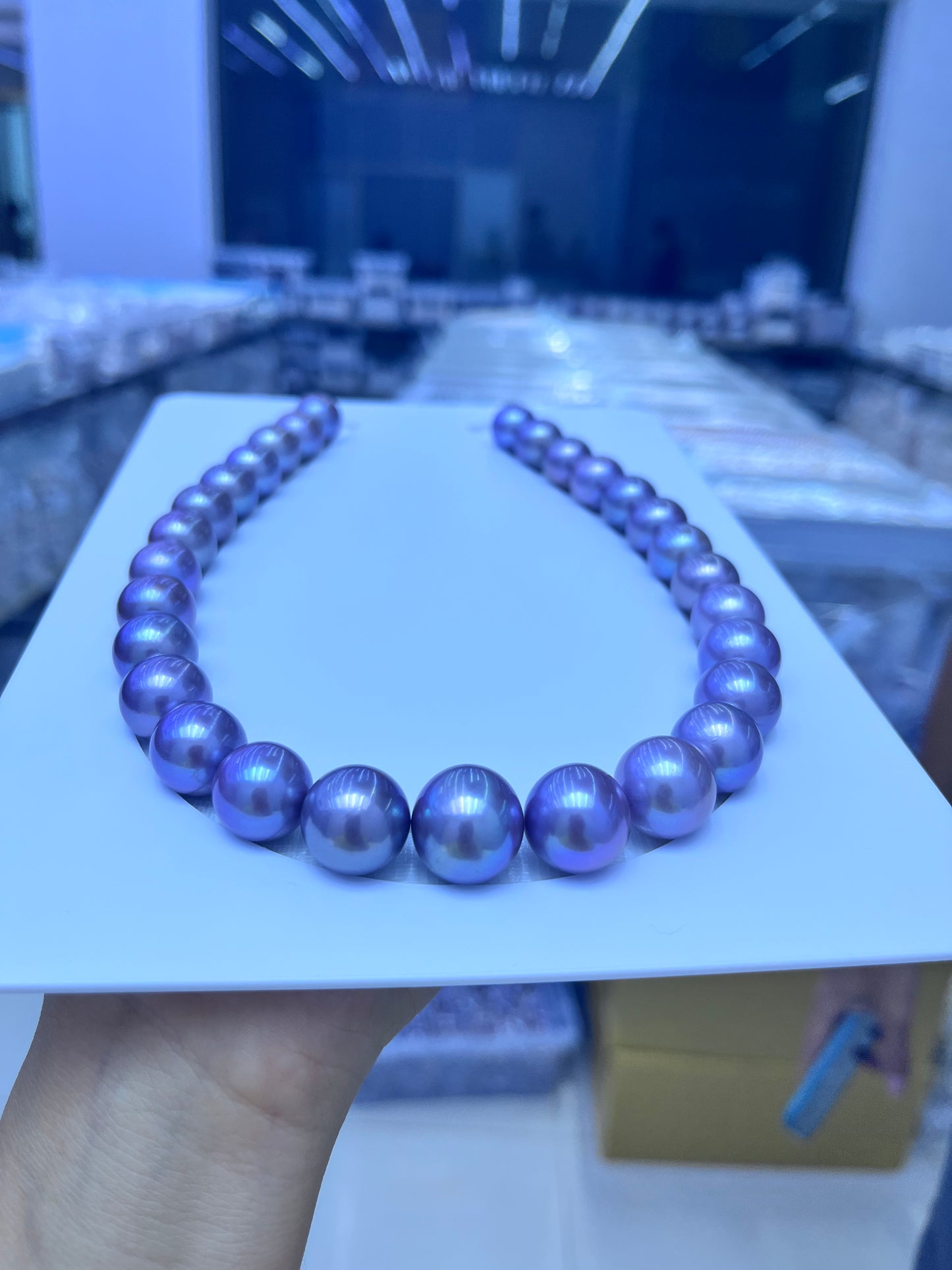 New arrival edison full pearl necklace top quality necklace in14mm USD4600