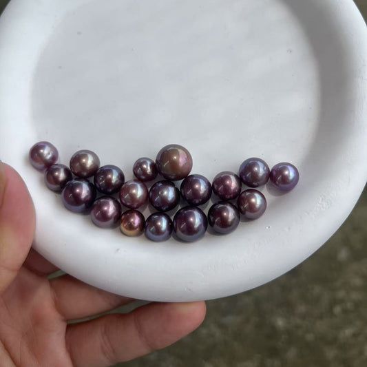 【Live】New edison (one pearl per oyster, 8-12mm)