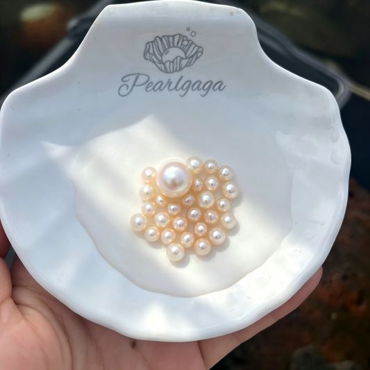 【Live Promotion】Supreme akoya oyster opening